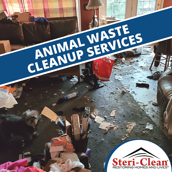 Houston Animal Waste Cleanup